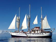 The majestic Sagitta. Photo by Cindy Shurtleff